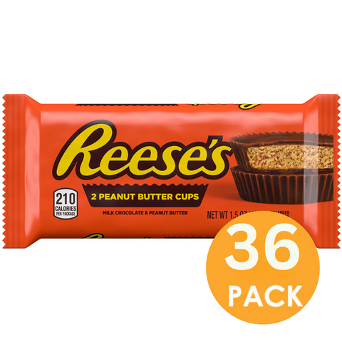 Reeses Peanut Butter Cup 42g